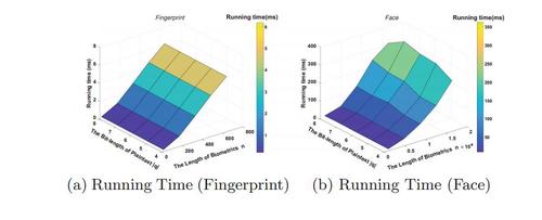Privacy-Preserving Biometric-Based Remote User Authentication with Leakage Resilience